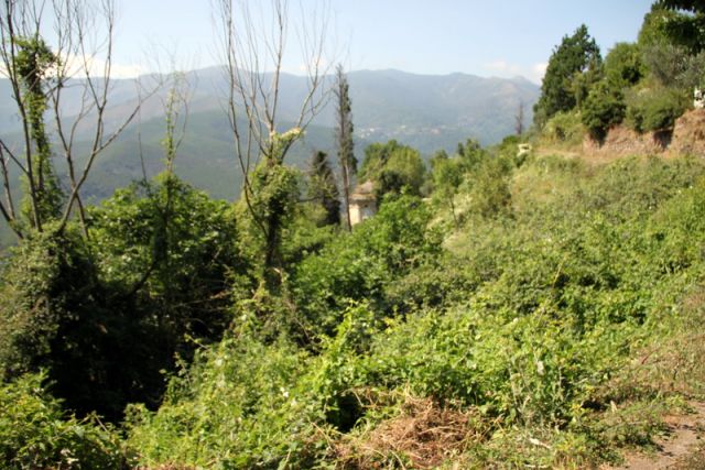 2010 07 14 jeanmarcperfetti.com 021.JPG